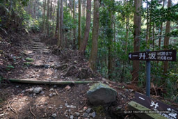 大手道一升坂｜高解像度画像サイズ：6500 x 4334 pixels｜写真番号：5D4A2423｜撮影：Canon EOS 5D Mark IV