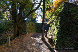 大手門跡・紅葉｜高解像度画像サイズ：6293 x 4195 pixels｜写真番号：5D4A2489｜撮影：Canon EOS 5D Mark IV