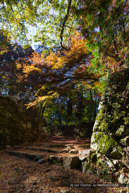 高取城大手門跡・紅葉｜高解像度画像サイズ：4480 x 6720 pixels｜写真番号：5D4A2498｜撮影：Canon EOS 5D Mark IV