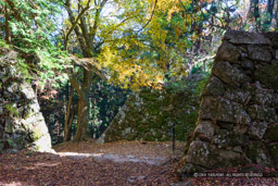 大手門跡・紅葉｜高解像度画像サイズ：6720 x 4480 pixels｜写真番号：5D4A2518｜撮影：Canon EOS 5D Mark IV