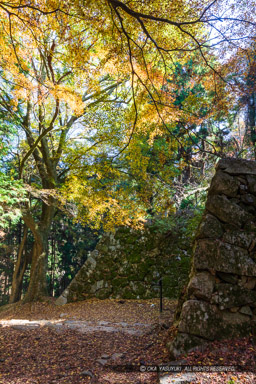 大手門跡・紅葉｜高解像度画像サイズ：4480 x 6720 pixels｜写真番号：5D4A2519｜撮影：Canon EOS 5D Mark IV