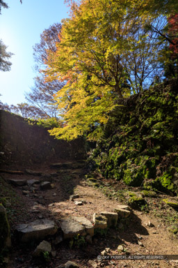 十三間多聞跡｜高解像度画像サイズ：4480 x 6720 pixels｜写真番号：5D4A2536｜撮影：Canon EOS 5D Mark IV