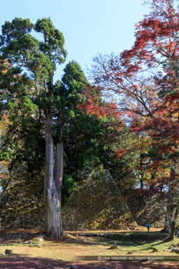 高取城の紅葉・天守台｜高解像度画像サイズ：3681 x 5521 pixels｜写真番号：5D4A2609｜撮影：Canon EOS 5D Mark IV