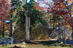 高取城の紅葉・天守台｜高解像度画像サイズ：6463 x 4309 pixels｜写真番号：5D4A2613｜撮影：Canon EOS 5D Mark IV