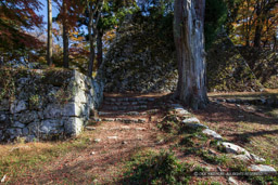 下ノ門跡・天守台｜高解像度画像サイズ：6720 x 4480 pixels｜写真番号：5D4A2664｜撮影：Canon EOS 5D Mark IV