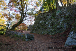 本丸虎口｜高解像度画像サイズ：6720 x 4480 pixels｜写真番号：5D4A2679｜撮影：Canon EOS 5D Mark IV