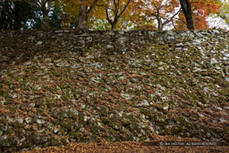 本丸西面石垣｜高解像度画像サイズ：6277 x 4185 pixels｜写真番号：5D4A2805｜撮影：Canon EOS 5D Mark IV