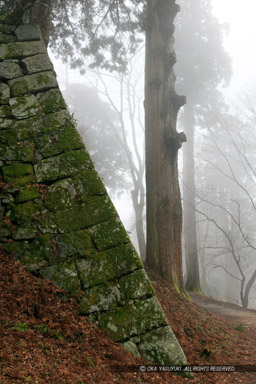 高取城天守台石垣｜高解像度画像サイズ：4247 x 6370 pixels｜写真番号：5DSA4040｜撮影：Canon EOS 5DS