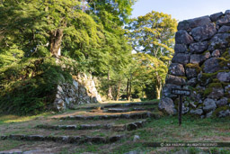 十五間多聞跡・新緑｜高解像度画像サイズ：7880 x 5253 pixels｜写真番号：5DSA7266｜撮影：Canon EOS 5DS