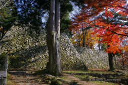 大和高取城の紅葉・天守台｜高解像度画像サイズ：4928 x 3285 pixels｜写真番号：VJ7Z1587｜撮影：Canon EOS-1Ds Mark II