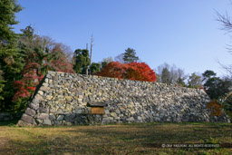 二ノ丸太鼓櫓跡・新櫓跡｜高解像度画像サイズ：4992 x 3328 pixels｜写真番号：VJ7Z1768｜撮影：Canon EOS-1Ds Mark II