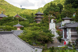 壺阪寺｜高解像度画像サイズ：8688 x 5792 pixels｜写真番号：5DSA7246｜撮影：Canon EOS 5DS