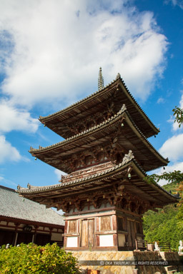 壺阪寺｜高解像度画像サイズ：5792 x 8688 pixels｜写真番号：5DSA7253｜撮影：Canon EOS 5DS