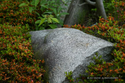 高槻城厩廓枡形門の石垣石｜高解像度画像サイズ：4064 x 2704 pixels｜写真番号：53BS4470｜撮影：Canon EOS-1DS