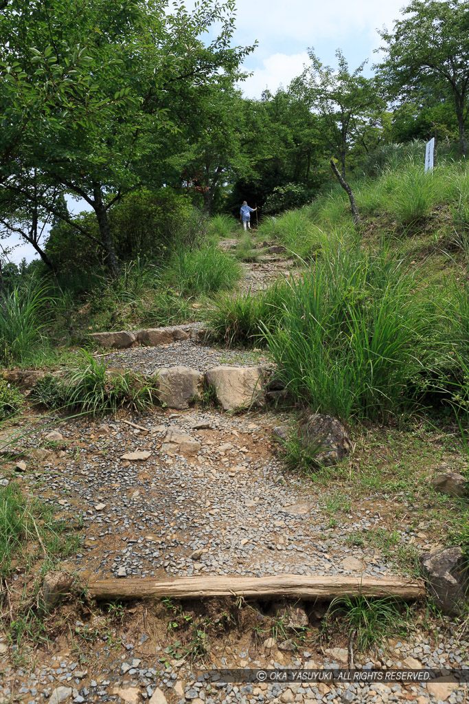 立雲峡登山道