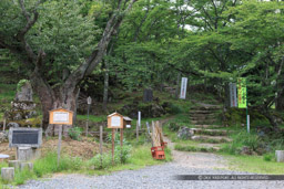 立雲峡登山口｜高解像度画像サイズ：5184 x 3456 pixels｜写真番号：1DXL6651｜撮影：Canon EOS-1D X