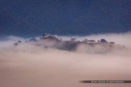 雲海に包まれる竹田城｜高解像度画像サイズ：8201 x 5467 pixels｜写真番号：5DSA2928｜撮影：Canon EOS 5DS