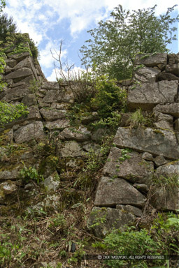 南二の丸に見られる石垣の切れ目｜高解像度画像サイズ：2048 x 3072 pixels｜写真番号：IMG0007｜撮影：