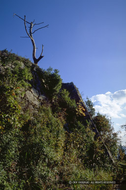 花屋敷石垣｜高解像度画像サイズ：2048 x 3072 pixels｜写真番号：IMG0081｜撮影：