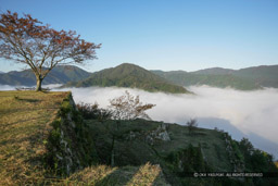 本丸から花屋敷｜高解像度画像サイズ：4746 x 3164 pixels｜写真番号：VJ7Z2957｜撮影：Canon EOS-1Ds Mark II