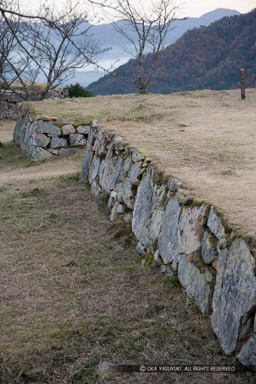 南二の丸｜高解像度画像サイズ：3328 x 4992 pixels｜写真番号：VJ7Z8982｜撮影：Canon EOS-1Ds Mark II