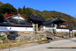 法樹寺｜高解像度画像サイズ：6720 x 4480 pixels｜写真番号：5D4A3633｜撮影：Canon EOS 5D Mark IV