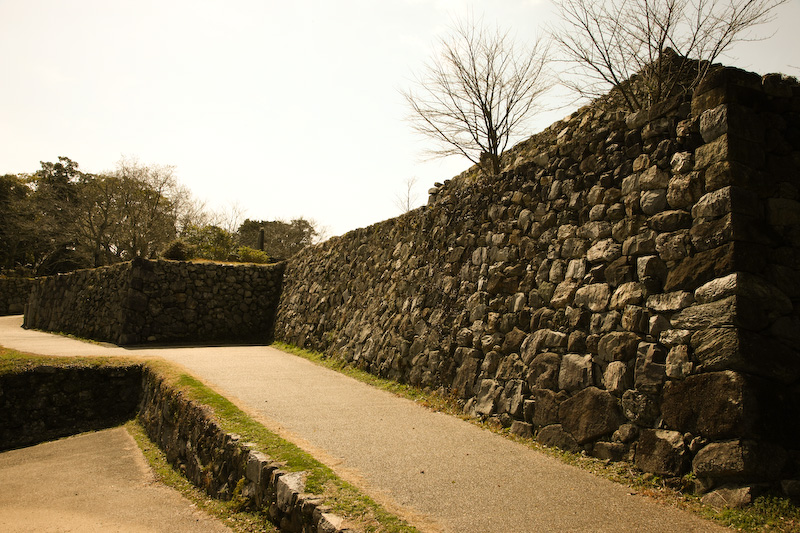 信田ノ丸城