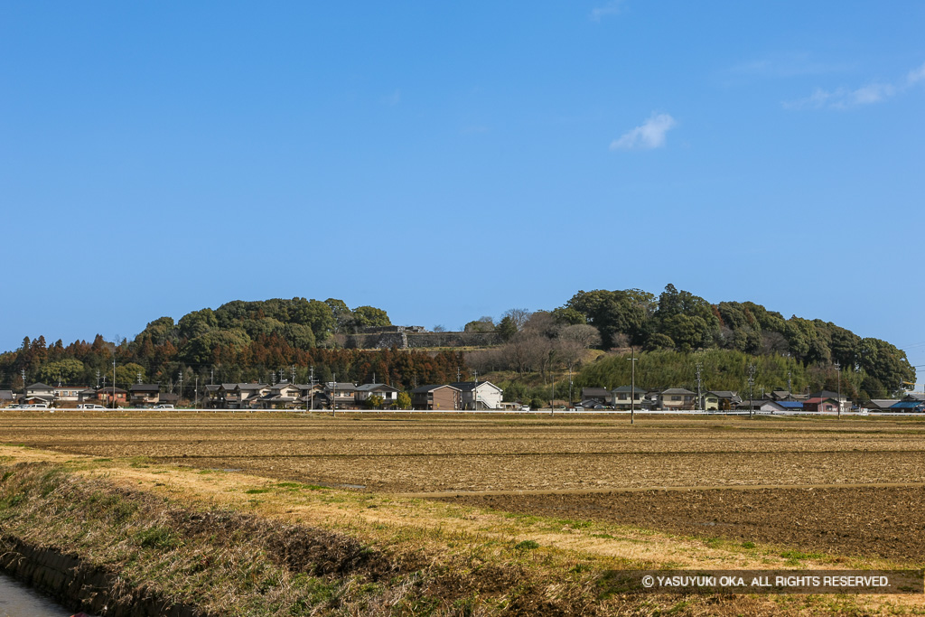田丸城遠景