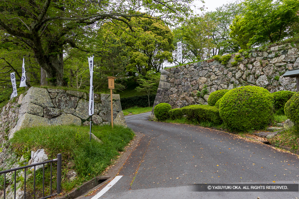 登城路