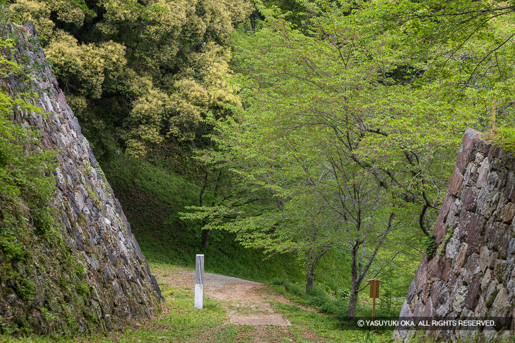 二の丸石垣と登城路
