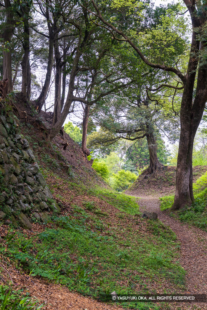 田丸城北の丸石垣と空掘と土塁