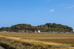 田丸城遠景 | 高解像度画像サイズ：5616 x 3744 pixels | 写真番号：1P3J5672 | 撮影：Canon EOS-1Ds Mark III