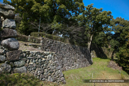 田丸城の石垣 | 高解像度画像サイズ：5616 x 3744 pixels | 写真番号：1P3J5744 | 撮影：Canon EOS-1Ds Mark III