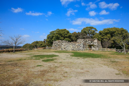 天守台と本丸 | 高解像度画像サイズ：5408 x 3605 pixels | 写真番号：1P3J5819 | 撮影：Canon EOS-1Ds Mark III