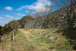 本丸西面石垣 | 高解像度画像サイズ：5616 x 3744 pixels | 写真番号：1P3J5837 | 撮影：Canon EOS-1Ds Mark III
