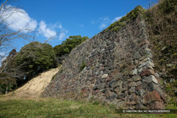 本丸西側石垣 | 高解像度画像サイズ：5616 x 3744 pixels | 写真番号：1P3J5848 | 撮影：Canon EOS-1Ds Mark III