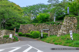 田丸城の登城路 | 高解像度画像サイズ:8192 x 5464 pixels | 写真番号:6F1A7357 | 撮影:Canon EOS R5m2