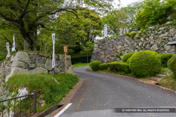 登城路 | 高解像度画像サイズ:7340 x 4896 pixels | 写真番号:6F1A7360 | 撮影:Canon EOS R5m2