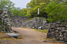 登城路 | 高解像度画像サイズ:7619 x 5082 pixels | 写真番号:6F1A7387 | 撮影:Canon EOS R5m2