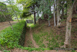 北の丸土塁と空掘 | 高解像度画像サイズ:8192 x 5464 pixels | 写真番号:6F1A7396 | 撮影:Canon EOS R5m2