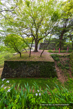 北の丸から本丸を望む | 高解像度画像サイズ：5464 x 8192 pixels | 写真番号：6F1A7421 | 撮影：Canon EOS R5m2