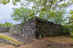 本丸石垣 | 高解像度画像サイズ:8192 x 5464 pixels | 写真番号:6F1A7423 | 撮影:Canon EOS R5m2