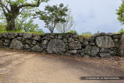 本丸虎口の鏡石 | 高解像度画像サイズ:8192 x 5464 pixels | 写真番号:6F1A7430 | 撮影:Canon EOS R5m2