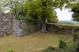 二の丸空掘と土橋 | 高解像度画像サイズ:8192 x 5464 pixels | 写真番号:6F1A7480 | 撮影:Canon EOS R5m2