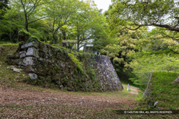 二の丸石垣 | 高解像度画像サイズ:8192 x 5464 pixels | 写真番号:6F1A7489 | 撮影:Canon EOS R5m2