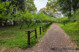 二の丸跡 | 高解像度画像サイズ:7976 x 5320 pixels | 写真番号:6F1A7496 | 撮影:Canon EOS R5m2
