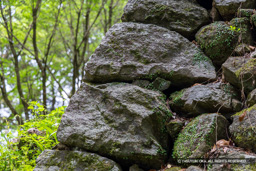 北の丸石垣・矢穴列痕 | 高解像度画像サイズ：8192 x 5464 pixels | 写真番号：6F1A7510 | 撮影：Canon EOS R5m2