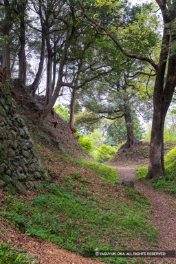 田丸城北の丸石垣と空掘と土塁 | 高解像度画像サイズ：5464 x 8192 pixels | 写真番号：6F1A7512 | 撮影：Canon EOS R5m2