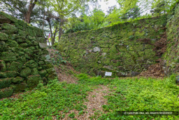 空掘・平成4年度新規構築の石垣 | 高解像度画像サイズ：8192 x 5464 pixels | 写真番号：6F1A7520 | 撮影：Canon EOS R5m2