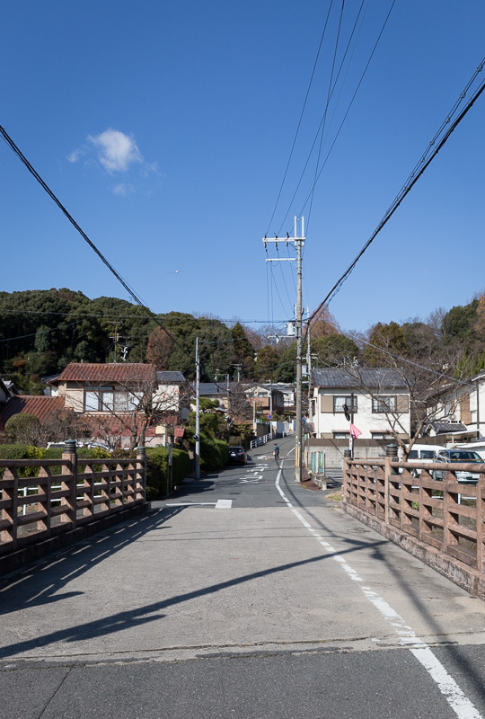 城址遠景